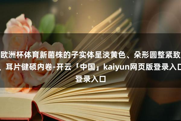 欧洲杯体育新菌株的子实体呈淡黄色、朵形圆整紧致、耳片健硕内卷-开云「中国」kaiyun网页版登录入口