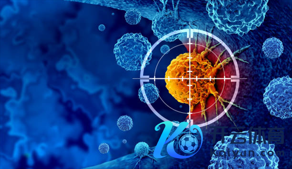 国度版防癌领路书一半与吃接头：照着作念就能缩小患癌风险