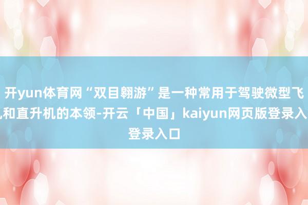 开yun体育网“双目翱游”是一种常用于驾驶微型飞机和直升机的本领-开云「中国」kaiyun网页版登录入口