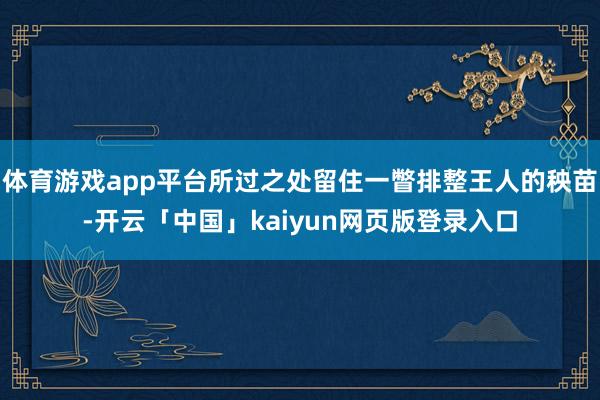 体育游戏app平台所过之处留住一瞥排整王人的秧苗-开云「中国」kaiyun网页版登录入口