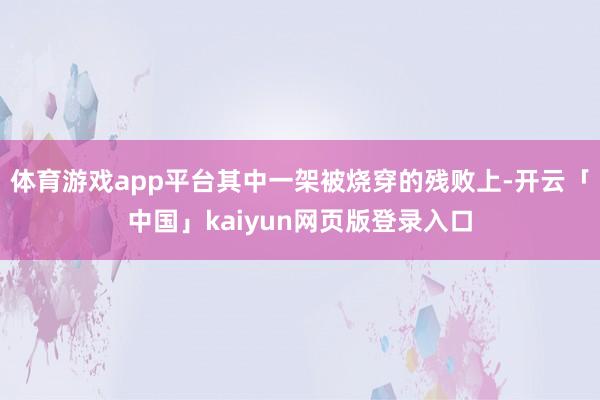 体育游戏app平台其中一架被烧穿的残败上-开云「中国」kaiyun网页版登录入口