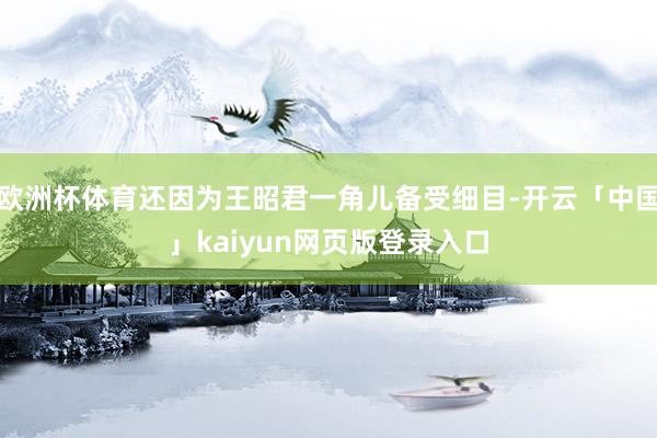 欧洲杯体育还因为王昭君一角儿备受细目-开云「中国」kaiyun网页版登录入口